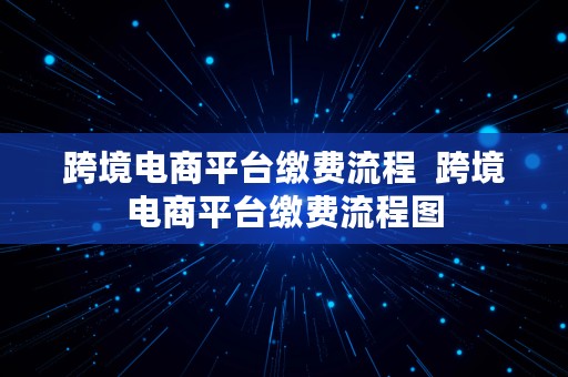 跨境电商平台缴费流程  跨境电商平台缴费流程图