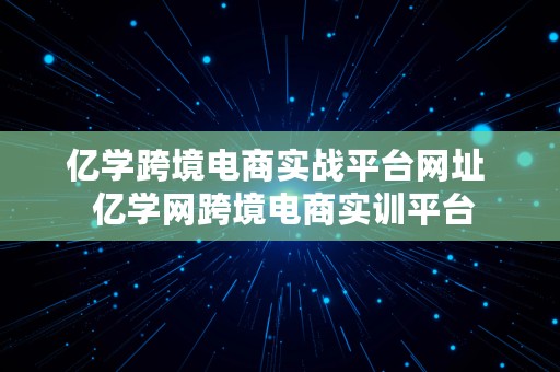 亿学跨境电商实战平台网址  亿学网跨境电商实训平台