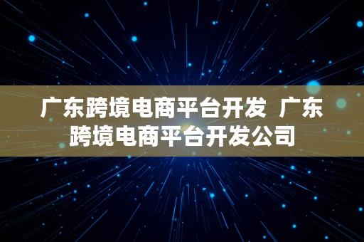 广东跨境电商平台开发  广东跨境电商平台开发公司