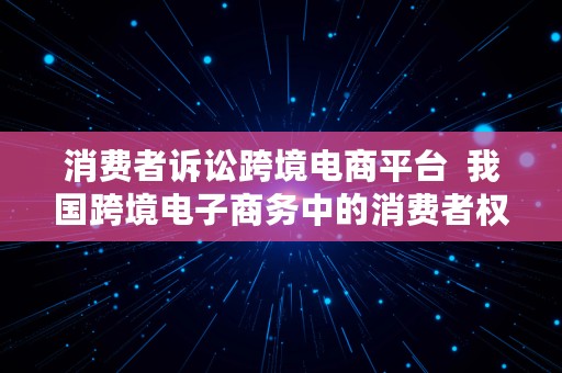 消费者诉讼跨境电商平台  我国跨境电子商务中的消费者权益保护