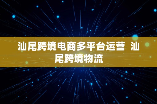 汕尾跨境电商多平台运营  汕尾跨境物流