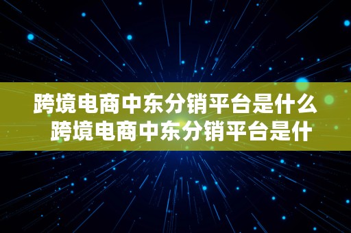 跨境电商中东分销平台是什么  跨境电商中东分销平台是什么意思