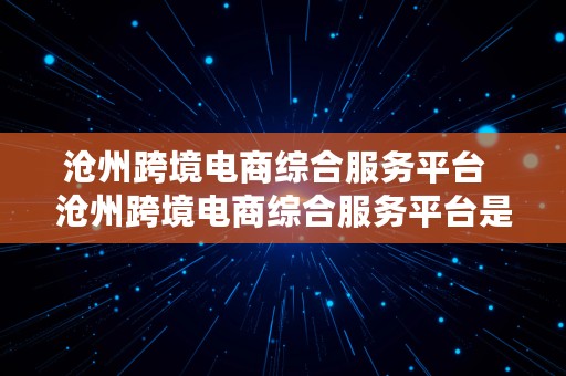 沧州跨境电商综合服务平台  沧州跨境电商综合服务平台是干什么的