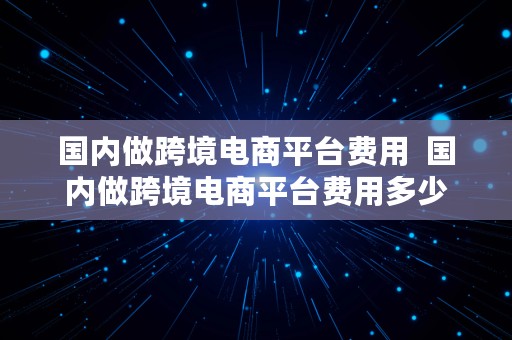 国内做跨境电商平台费用  国内做跨境电商平台费用多少