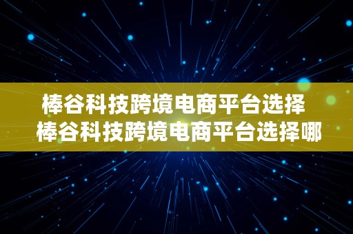 棒谷科技跨境电商平台选择  棒谷科技跨境电商平台选择哪个公司