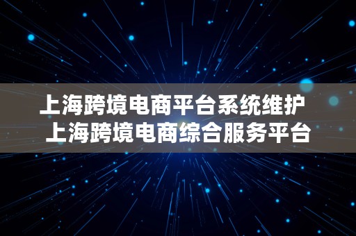 上海跨境电商平台系统维护  上海跨境电商综合服务平台