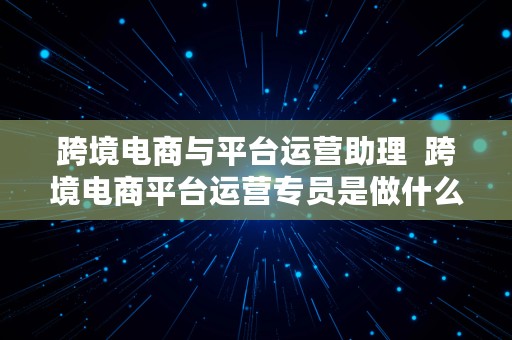 跨境电商与平台运营助理  跨境电商平台运营专员是做什么的