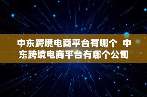 中东跨境电商平台有哪个  中东跨境电商平台有哪个公司