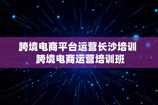 跨境电商平台运营长沙培训  跨境电商运营培训班