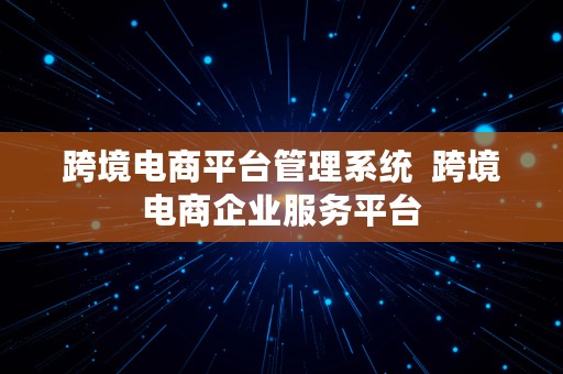 跨境电商平台管理系统  跨境电商企业服务平台