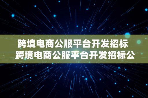 跨境电商公服平台开发招标  跨境电商公服平台开发招标公告