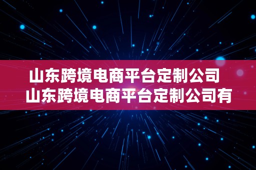 山东跨境电商平台定制公司  山东跨境电商平台定制公司有哪些