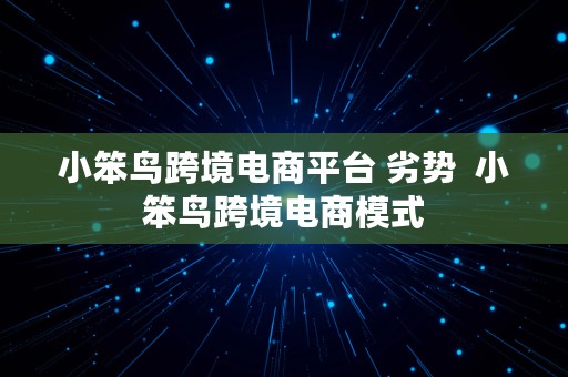 小笨鸟跨境电商平台 劣势  小笨鸟跨境电商模式