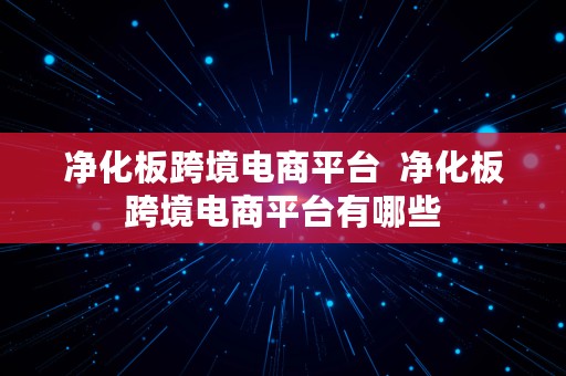 净化板跨境电商平台  净化板跨境电商平台有哪些