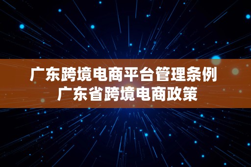 广东跨境电商平台管理条例  广东省跨境电商政策