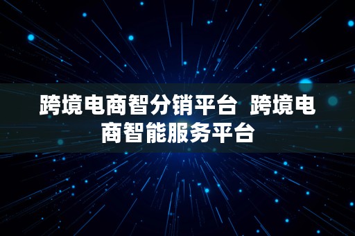 跨境电商智分销平台  跨境电商智能服务平台