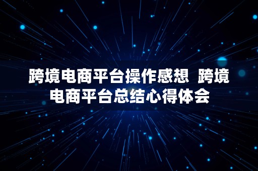 跨境电商平台操作感想  跨境电商平台总结心得体会