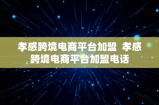 孝感跨境电商平台加盟  孝感跨境电商平台加盟电话