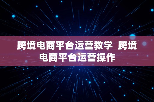 跨境电商平台运营教学  跨境电商平台运营操作