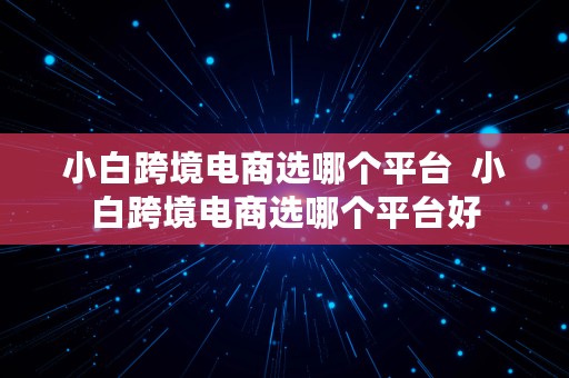 小白跨境电商选哪个平台  小白跨境电商选哪个平台好