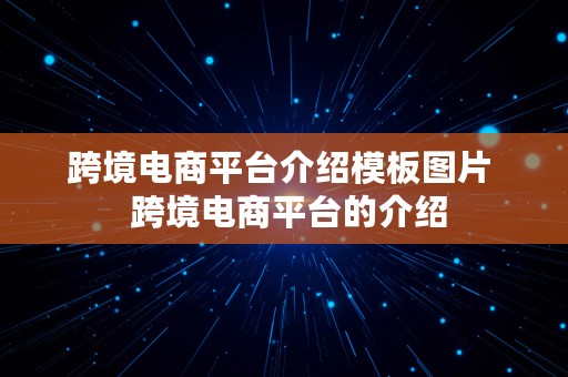 跨境电商平台介绍模板图片  跨境电商平台的介绍