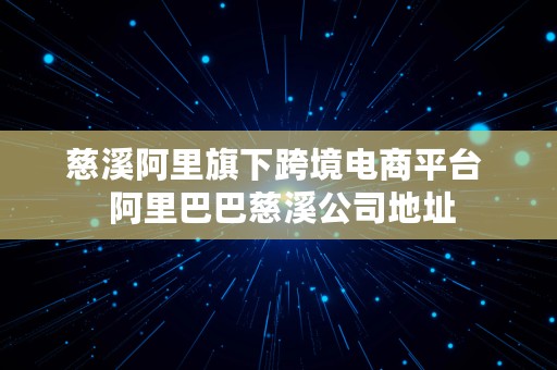 慈溪阿里旗下跨境电商平台  阿里巴巴慈溪公司地址