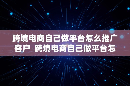 跨境电商自己做平台怎么推广客户  跨境电商自己做平台怎么推广客户端