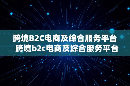 跨境B2C电商及综合服务平台  跨境b2c电商及综合服务平台是什么