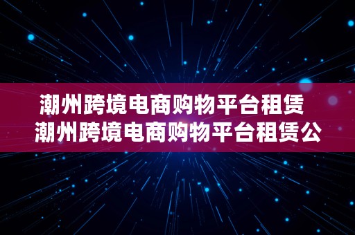 潮州跨境电商购物平台租赁  潮州跨境电商购物平台租赁公司