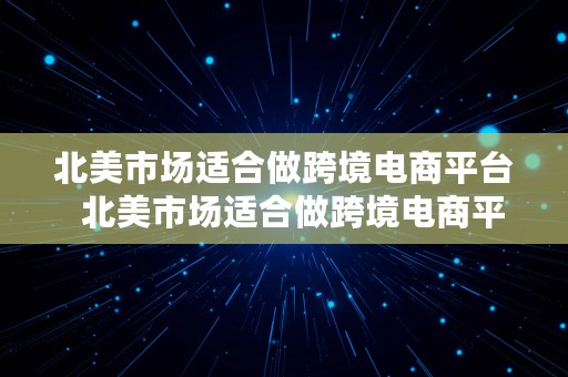 北美市场适合做跨境电商平台  北美市场适合做跨境电商平台吗