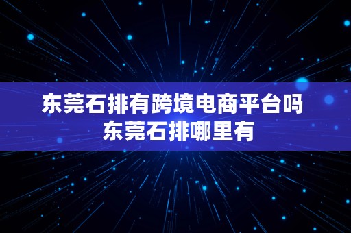 东莞石排有跨境电商平台吗  东莞石排哪里有