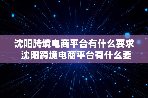 沈阳跨境电商平台有什么要求  沈阳跨境电商平台有什么要求吗