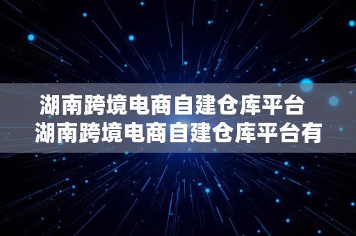 湖南跨境电商自建仓库平台  湖南跨境电商自建仓库平台有哪些