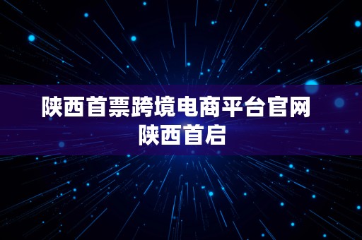 陕西首票跨境电商平台官网  陕西首启