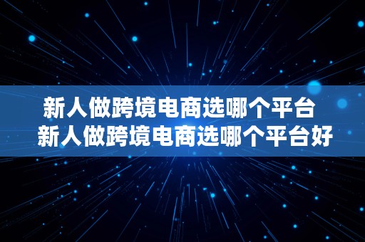 新人做跨境电商选哪个平台  新人做跨境电商选哪个平台好