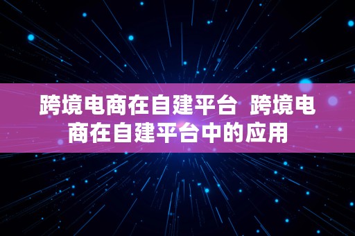 跨境电商在自建平台  跨境电商在自建平台中的应用