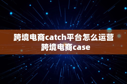 跨境电商catch平台怎么运营  跨境电商case