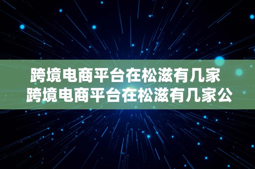 跨境电商平台在松滋有几家  跨境电商平台在松滋有几家公司