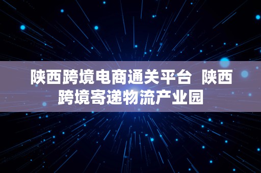 陕西跨境电商通关平台  陕西跨境寄递物流产业园