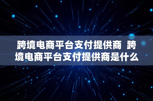 跨境电商平台支付提供商  跨境电商平台支付提供商是什么