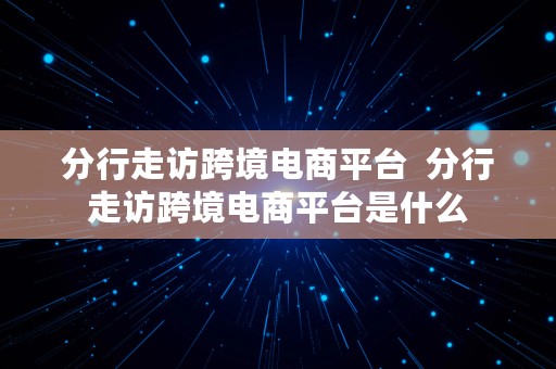 分行走访跨境电商平台  分行走访跨境电商平台是什么