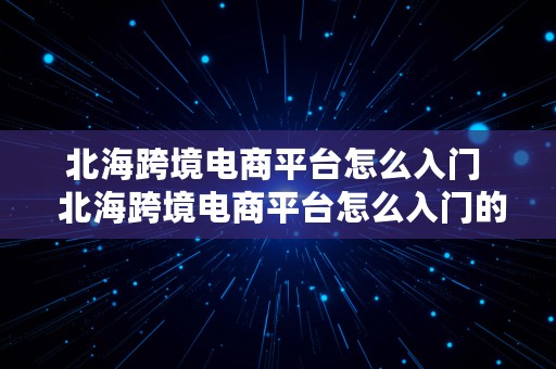 北海跨境电商平台怎么入门  北海跨境电商平台怎么入门的