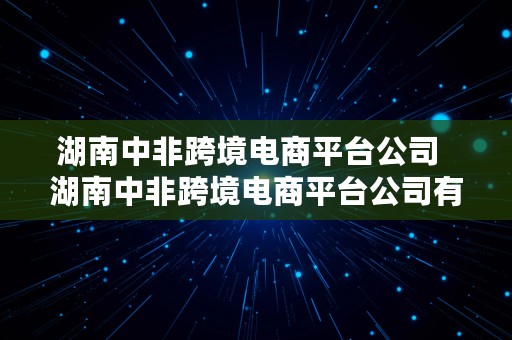 湖南中非跨境电商平台公司  湖南中非跨境电商平台公司有哪些