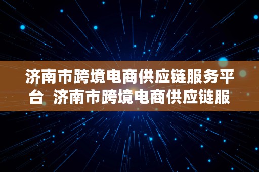 济南市跨境电商供应链服务平台  济南市跨境电商供应链服务平台官网