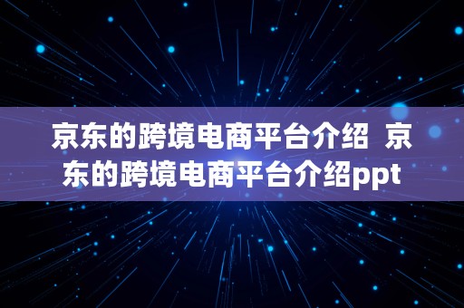 京东的跨境电商平台介绍  京东的跨境电商平台介绍ppt