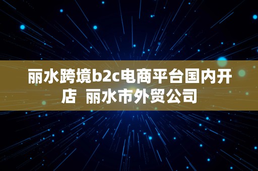 丽水跨境b2c电商平台国内开店  丽水市外贸公司