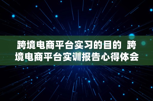 跨境电商平台实习的目的  跨境电商平台实训报告心得体会