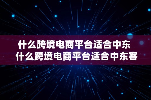 什么跨境电商平台适合中东  什么跨境电商平台适合中东客户