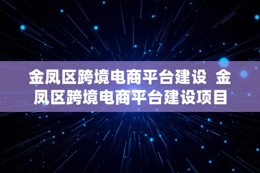 金凤区跨境电商平台建设  金凤区跨境电商平台建设项目