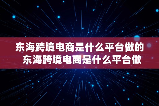 东海跨境电商是什么平台做的  东海跨境电商是什么平台做的呢